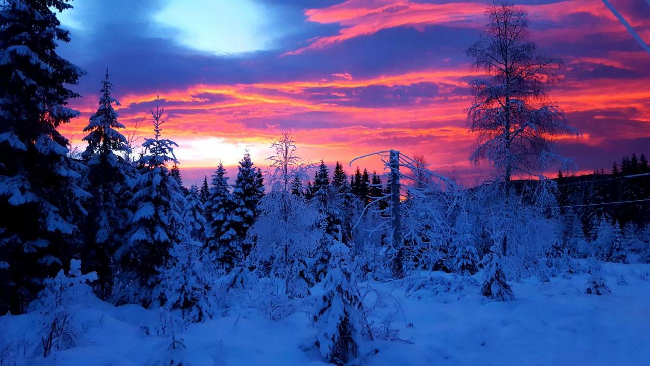 Holiday home Det Gule Huset *